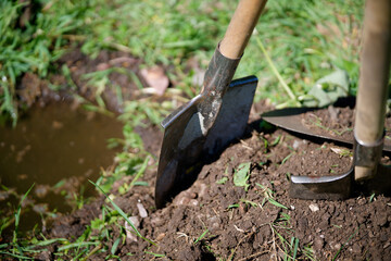 Fototapeta premium Close-up of metal garden spades resting in loose soil during outdoor landscape maintenance. Concept of agricultural labor and construction. Photo