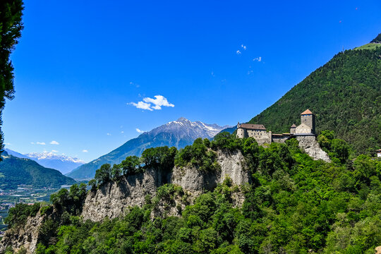 Dorf Tirol, Schloss Tirol, Algund, Weinberg, Weinpergola, Landwirtschaft, Wanderweg, Waalweg, Vinschgau, S&uuml;dtirol, Texelgruppe, Fr&uuml;hling, Sommer, Italien