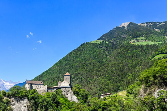 Dorf Tirol, Schloss Tirol, Algund, Weinberg, Weinpergola, Landwirtschaft, Wanderweg, Waalweg, Vinschgau, S&uuml;dtirol, Texelgruppe, Hochmuth, Fr&uuml;hling, Sommer, Italien