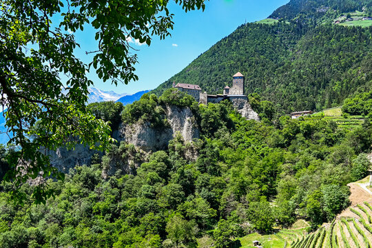 Dorf Tirol, Schloss Tirol, Algund, Weinberg, Weinpergola, Landwirtschaft, Wanderweg, Waalweg, Vinschgau, S&uuml;dtirol, Texelgruppe, Fr&uuml;hling, Sommer, Italien