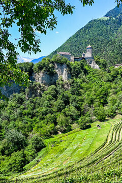 Dorf Tirol, Schloss Tirol, Algund, Weinberg, Weinpergola, Landwirtschaft, Wanderweg, Waalweg, Vinschgau, S&uuml;dtirol, Texelgruppe, Fr&uuml;hling, Sommer, Italien