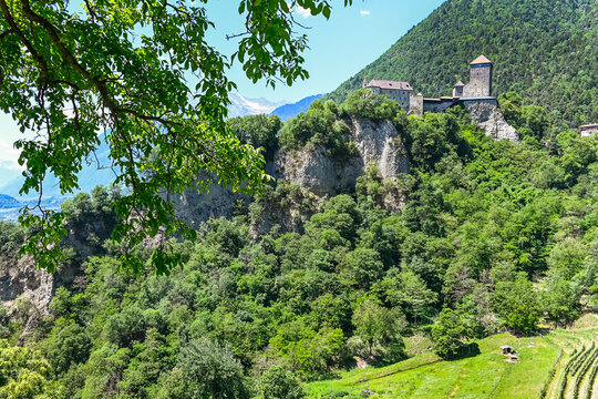 Dorf Tirol, Schloss Tirol, Algund, Weinberg, Weinpergola, Landwirtschaft, Wanderweg, Waalweg, Vinschgau, S&uuml;dtirol, Texelgruppe, Fr&uuml;hling, Sommer, Italien