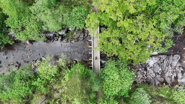 Aerial flight over a hiking trail near the old Oakwood Ariundle in the Scottish Highlands in UK close to Strontian. A hiker is walking over a bridge over a river. Top down view.