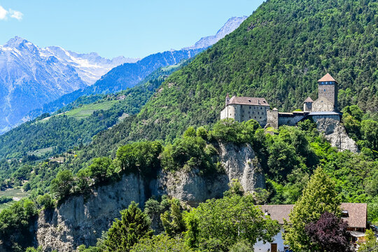 Dorf Tirol, Schloss Tirol, Algund, Weinberg, Weinpergola, Landwirtschaft, Wanderweg, Waalweg, Vinschgau, S&uuml;dtirol, Texelgruppe, Fr&uuml;hling, Sommer, Italien