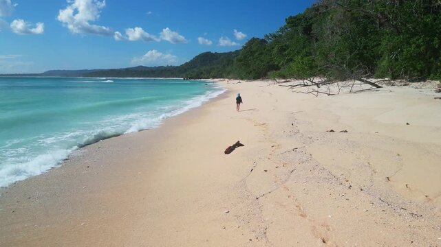 Turquoise water sandy shore asian woman surveying coastline for debris and habitat signs, drift fragments, gentle surf, drone view, focused pace, Alas Purwo, National Park, Grajagan Bay, Java