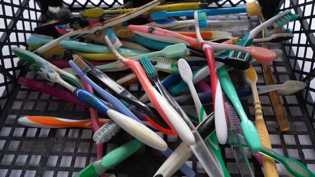 Collecting and disposing of old used plastic toothbrushes