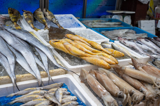 Various fresh seafood and fish displayed on ice in South Korea traditional market.