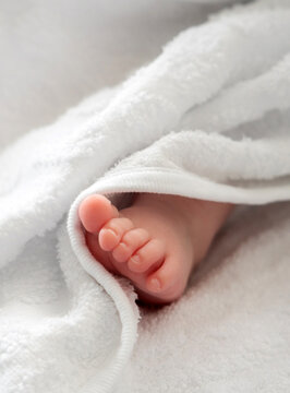 Newborn baby foot emerging from white softness