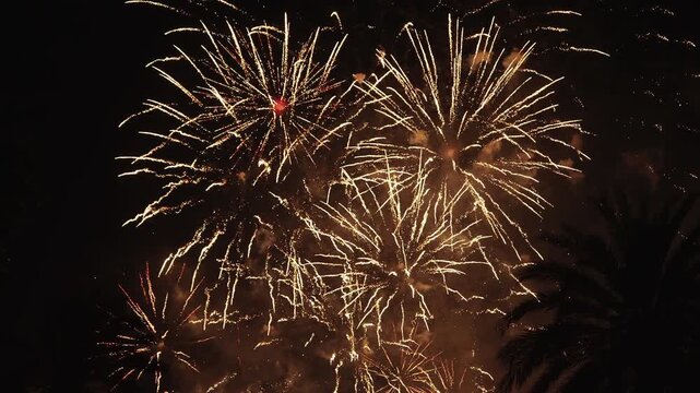 Gold fireworks burst night sky palm tree silhouette horizontal Mediterranean Spain summer celebration festive event pyrotechnic glow dark background slow motion holiday outdoor spectacle sparks