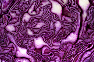 Obraz premium Half of fresh red cabbage texture, as background. Healthy food, fresh vegetables.