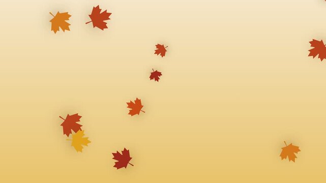 Autumn Maple Leaves Falling Loop Animation
