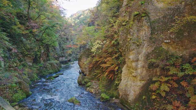 紅葉の名所 秋の鳴子峡の風景　Autumn scenery of Naruko Gorge, a famous spot for autumn foliage.