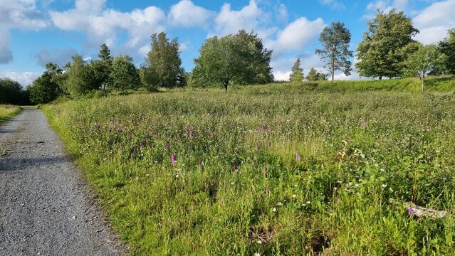 near Egge Tower, panoramic view to Velmerstot