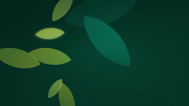 clean eco friendly green leaf inspired vector motion