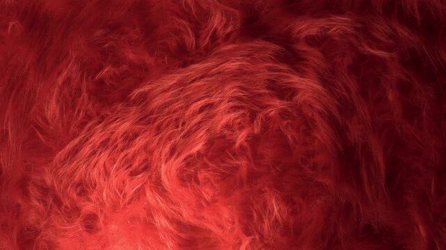 Red, fuzzy fabric texture. Camera pan