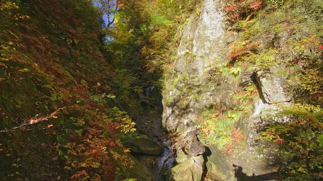 紅葉の名所 秋の鳴子峡の風景　Autumn scenery of Naruko Gorge, a famous spot for autumn foliage.