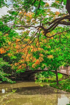 Idyllic autumn landscape reflections tranquil park nature photography scenic view