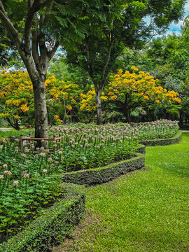 Vibrant floral display in urban park nature photography lush green environment wide view