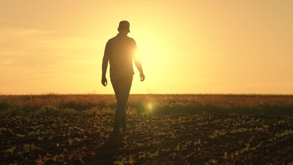 Agricultural business. Farmer man works in rubber boots, field with young green sprouts. Businessman grows food. Worker walks in rubber boots, sunset. Grow grain, vegetables. Field, young green shoots © Victoriia