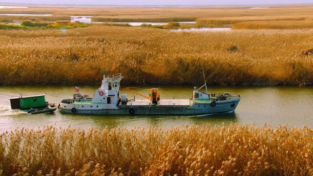 Old cargo vessel towing a small pontoon house navigating a river through an autumn marshland