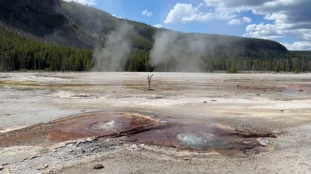 Cinnamon Spouter and Cinnamon West Gayser in Black Sand Basin, Yellowstone