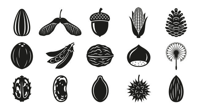 Black and White Icons of Seeds, Nuts, and Fruits for Food Industry