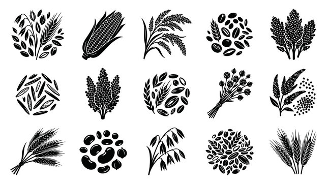 Black  White Glyph Icons of Various Grains and Cereals for Food Industry