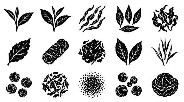 Black  White Glyph Icons of Tea Leaves and Tea Processing, Food Industry