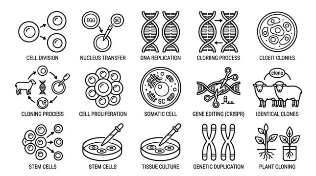 Set of genetic engineering and cloning line icons.
