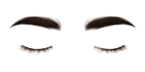 Fototapeta premium Detailed illustration of perfectly sculpted dark brown eyebrows and long dramatic eyelashes resting closed&nbsp;&nbsp;