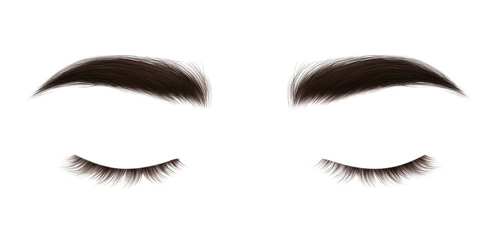 Detailed illustration of perfectly sculpted dark brown eyebrows and long dramatic eyelashes resting closed&nbsp;&nbsp;