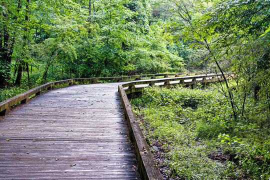 Wooden Boardwalk Winding Through Wetland Woodland Corridor at Fowler Park in Cumming, Georgia