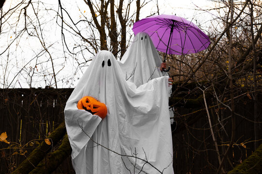 Two ghosts friends