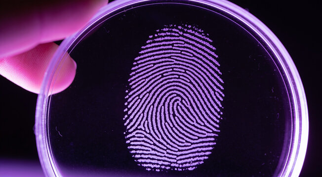 Purple UV Light Fingerprint Examination With Magnifying Glass, Forensic Science and Criminal Investigation Concept Digital Illustration