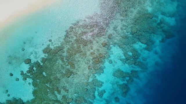 Straight Down Aerial Stunning Coral Reef Slow Motion Cinematic Loop - Underwater Ocean Marine Abstract Background