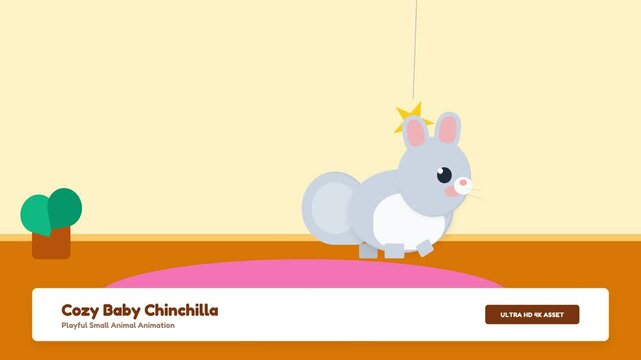 Cozy Baby Chinchilla Playing with Hanging Star Toy Animation.