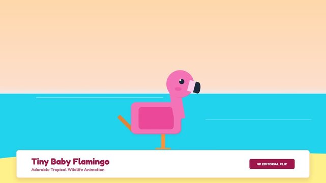 Cute Tiny Baby Flamingo Animation Standing on One Leg at the Beach.