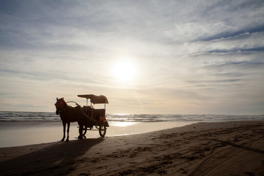 Silhouette of Traditional Horse Carriage on a Sandy Beach at Sunset