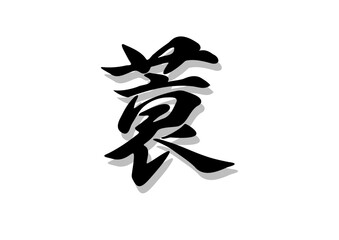 筆文字，蓑，行書，毛筆，墨，影，