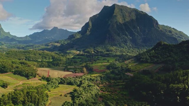 Opunohu Valley in Moorea with Mount Rotui and verdant tropical vegetation, island's dramatic volcanic peaks and cultivated fields under a clear sky. Explore French Polynesia. Aerial view drone flight