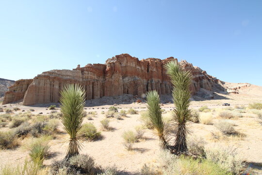 Redrock State Park, CA