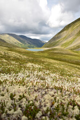 Fototapeta premium Alpine lake near Hope Alaska