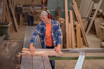 Fototapeta premium Woman carpenter cutting wood using a table saw