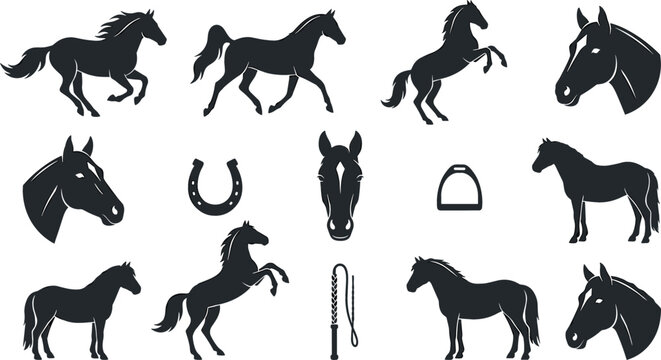Horse Silhouette Icon Set with Running Stallions Mustang Heads Horseshoe Stirrup and Whip Vectors for Equestrian Graphic Designs