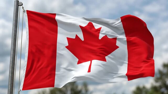 Canadian Flag Waving in the Wind, Seamless Loop Animation, Red Maple Leaf Symbol of Canada, Outdoor Sky Background