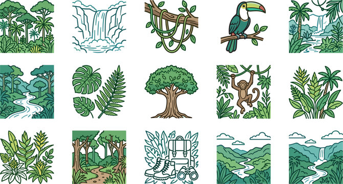 Set of hand drawn jungle and rainforest icons.