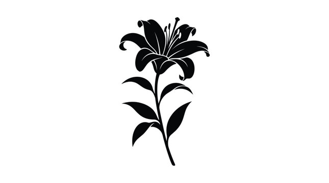 black lily flower silhouette on white background botanical nature stem petal leaf