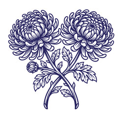 Fototapeta premium Detailed botanical engraving of two crossed chrysanthemum flowers with buds chrysanthemum botanical engraving illustration blooming monochrome detailed ornamental