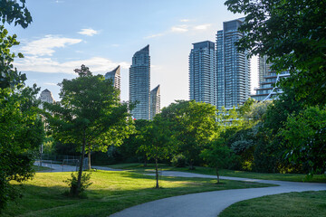 Fototapeta premium Modern residential skyline towers seen from Etobicoke park
