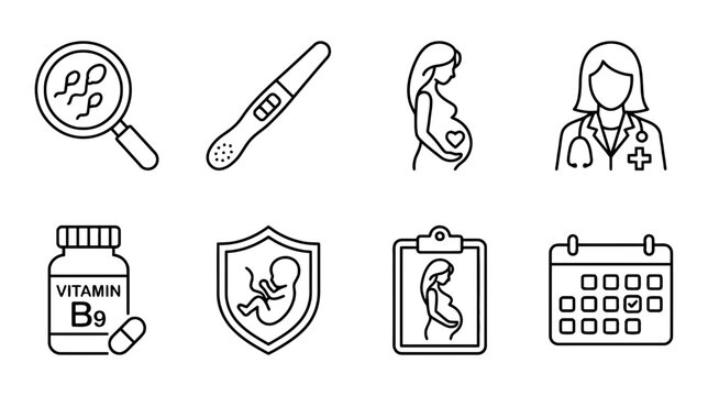 Pregnancy and folic acid health icons set